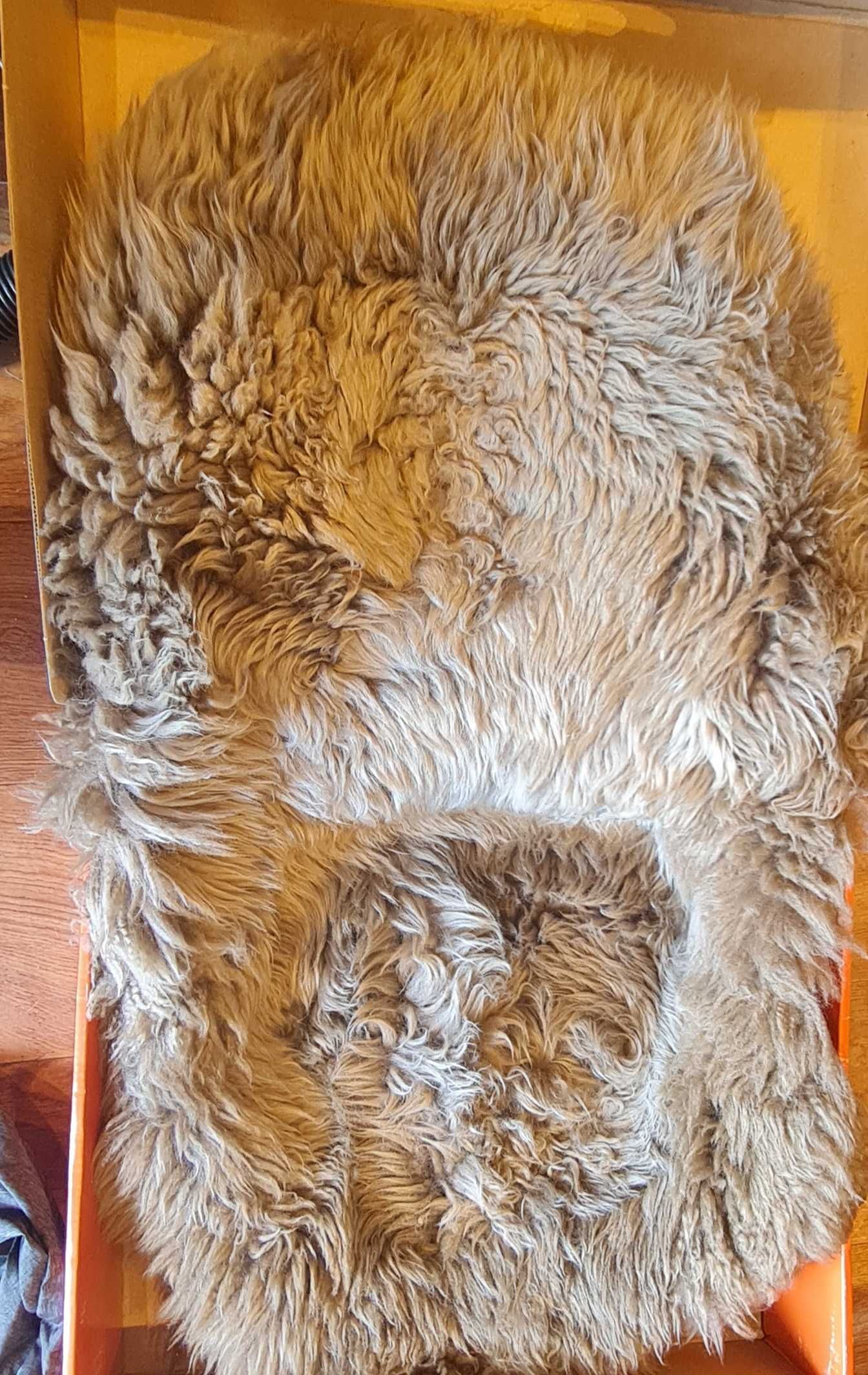 Stokke XPLORY zimowy zestaw Mufka + Winter Kit + Sheepskin Lining