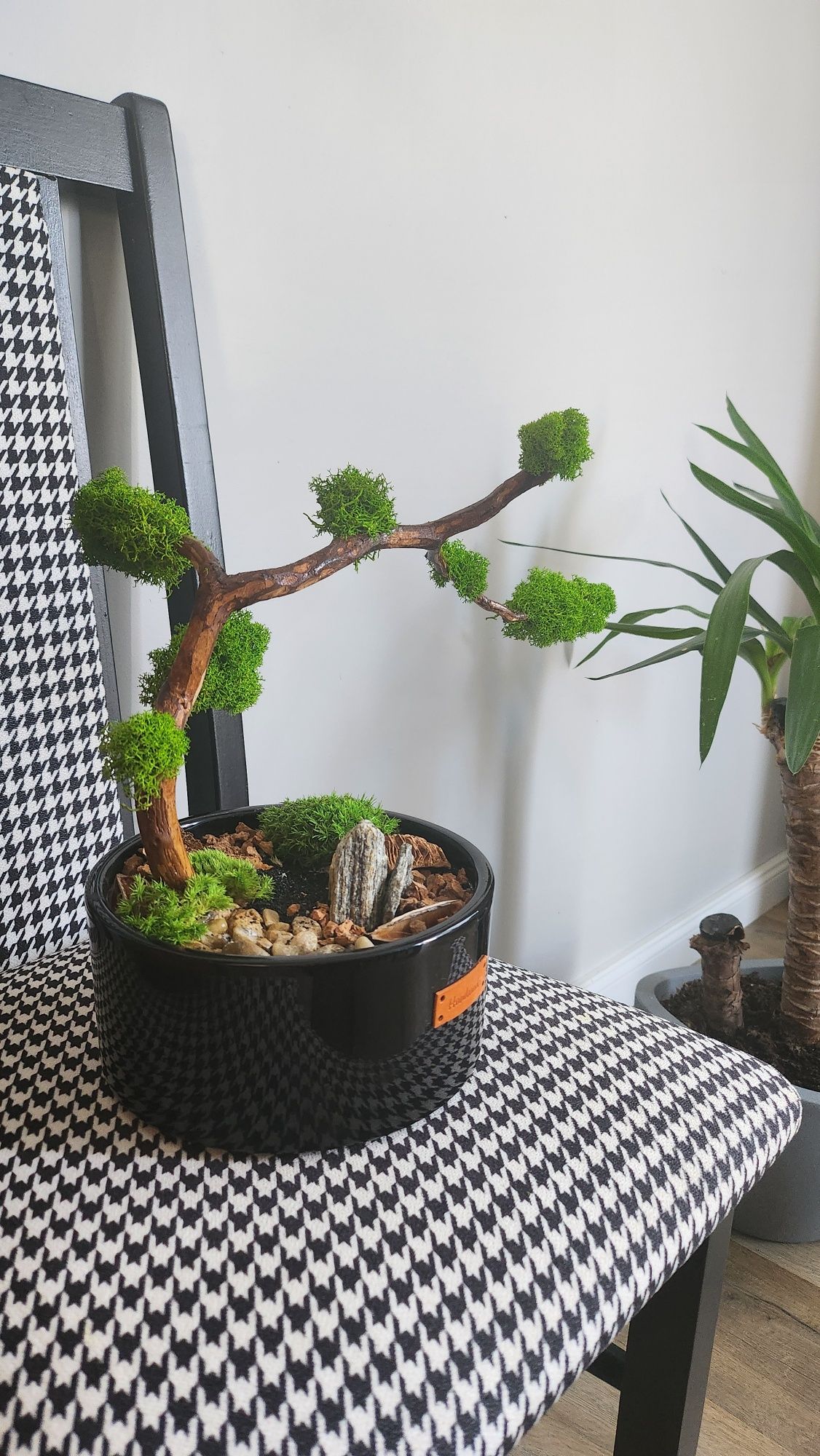 Drzewko bonsai z mchu