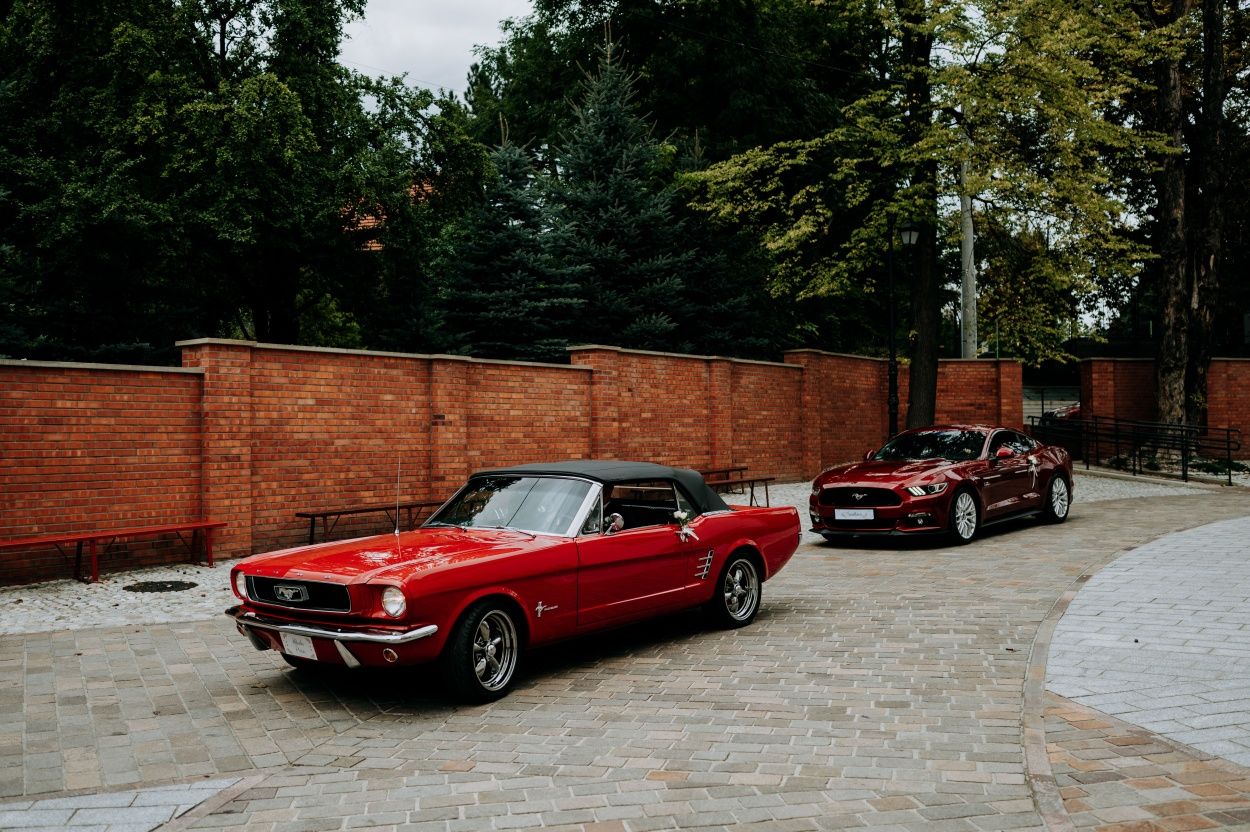 Ford Mustang 1966 cabrio wynajem do ślubu