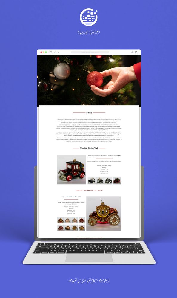 Strony WWW | Projektowanie stron internetowych | Sklepy internetowe