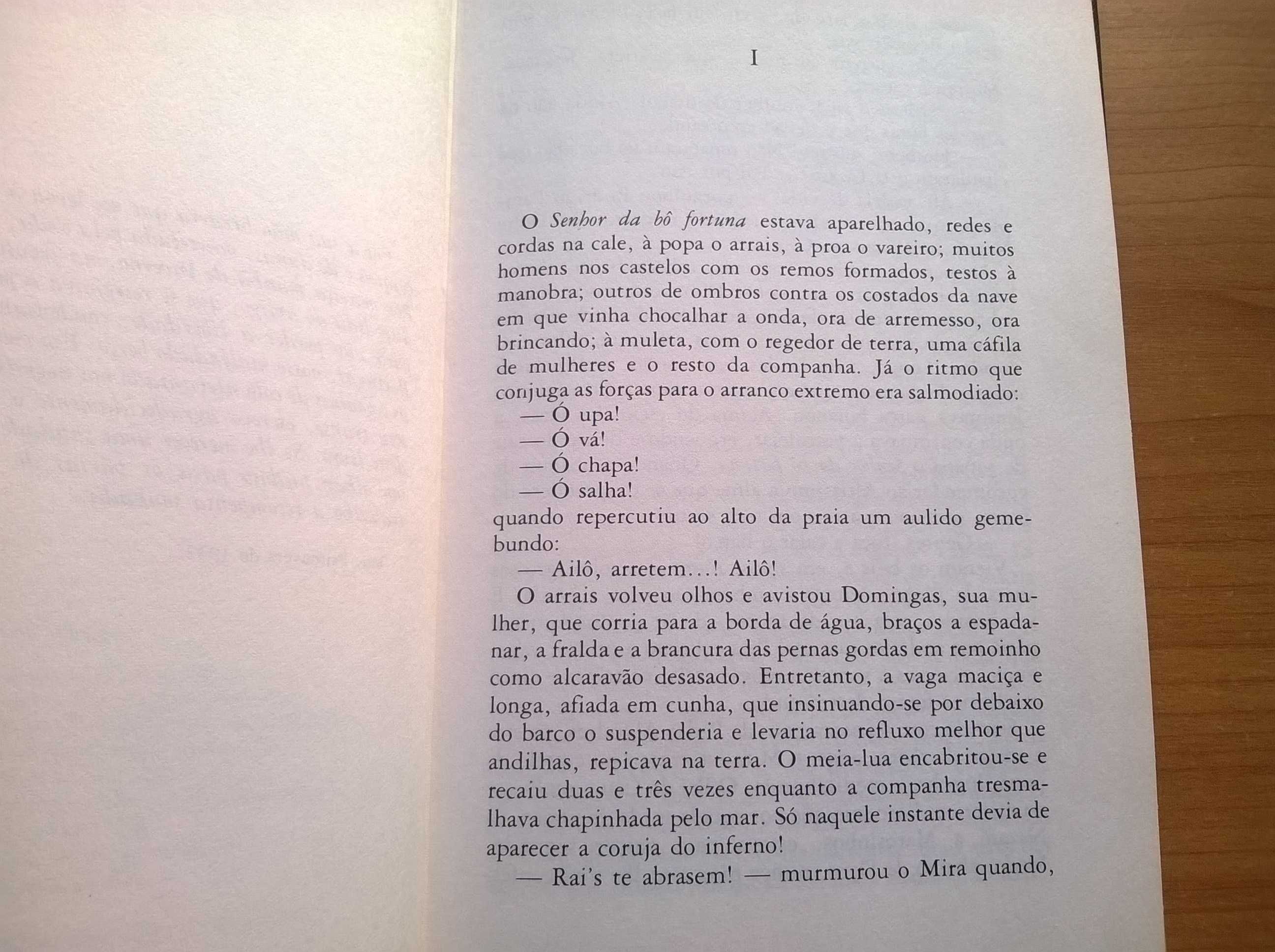 A Batalha sem Fim - Aquilino Ribeiro (portes grátis)