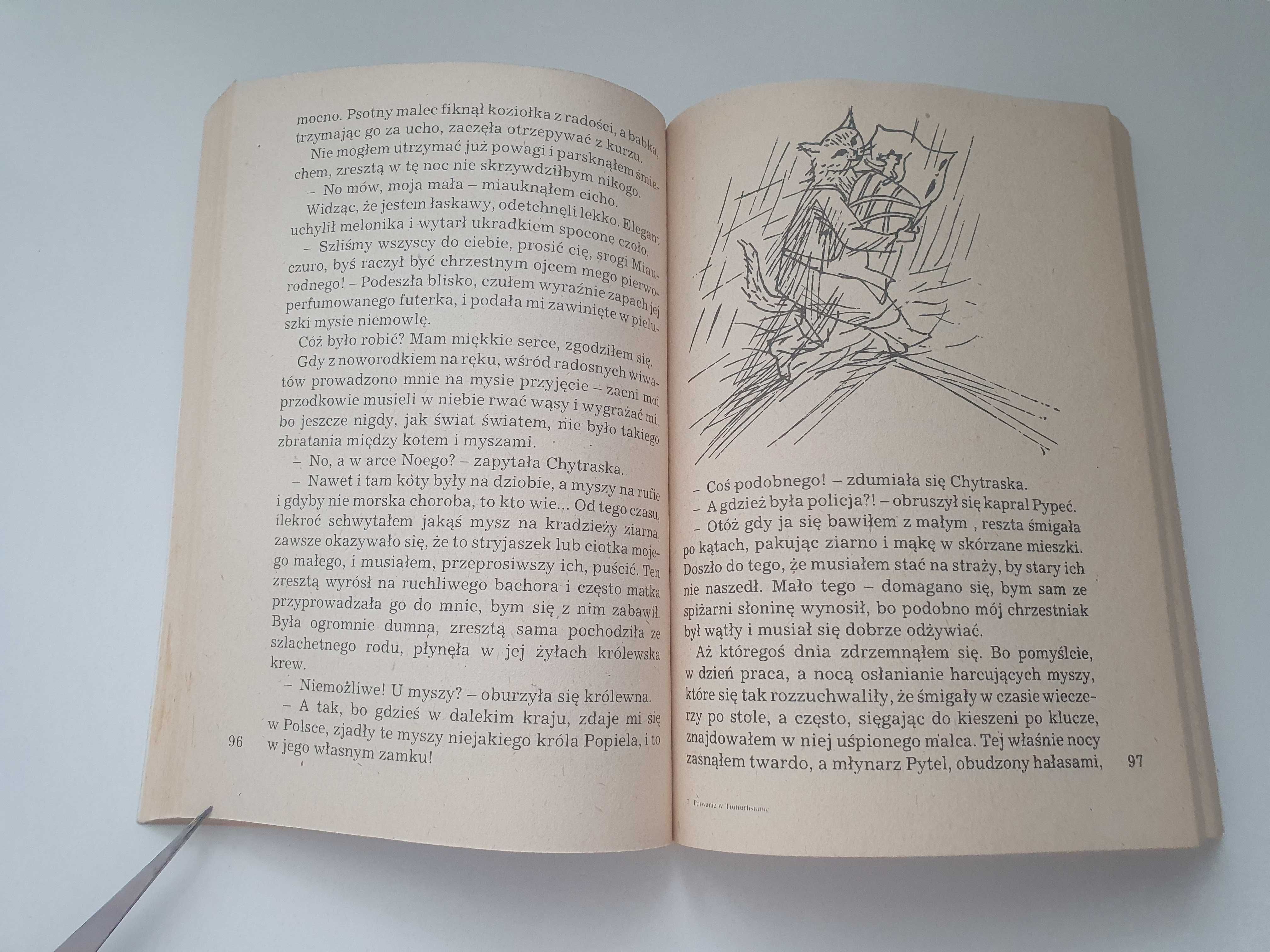 Porwanie w Tiutiurlistanie - Wojciech Żurkowski