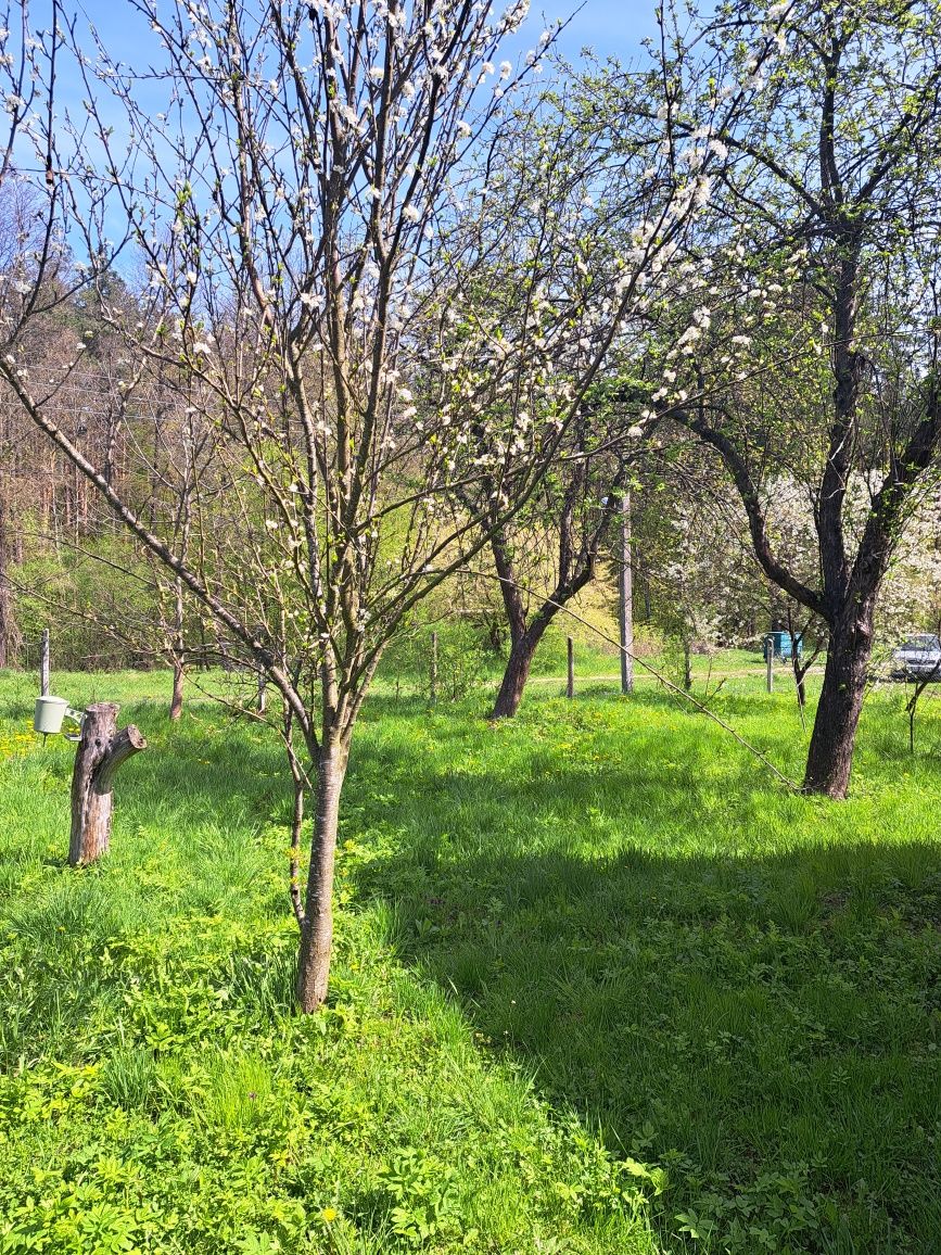 Будинок в Тетерівці