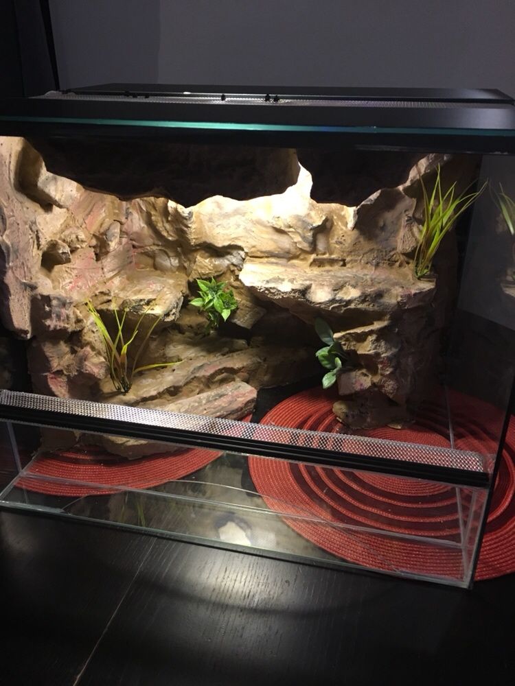 Terrarium scianki wystroj agama gekon wąż