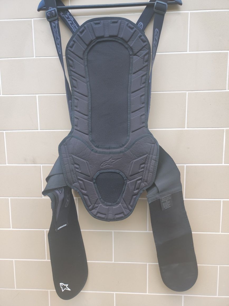 Dorsal Alpinestars
