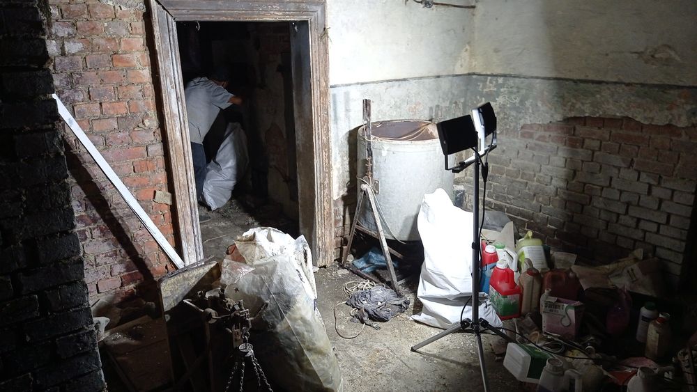 Opróżnianie domów mieszkań piwnic strychów garaży wycinka drzew gruz