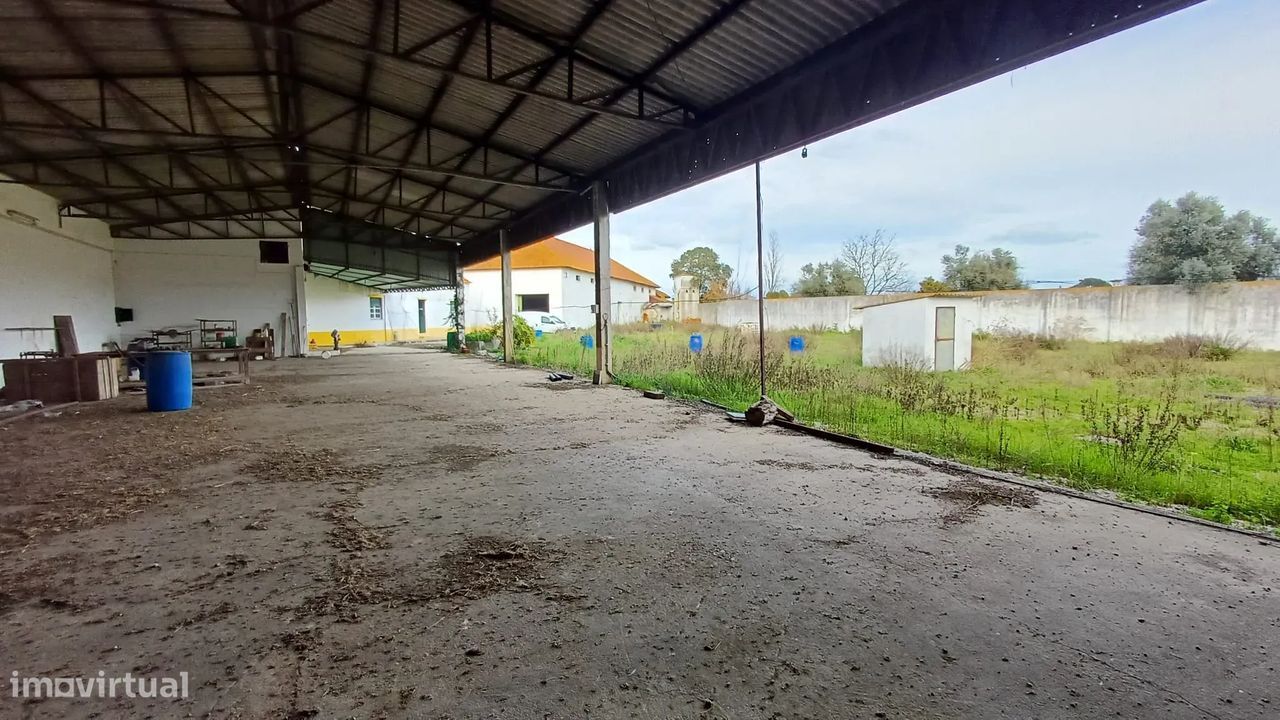 Armazém na Golegã - Pombalinho