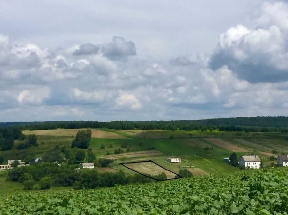 Продаж земельної ділянки 40 соток, с. Лозино, Львівська обл.