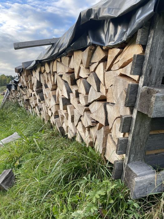 Drewno kominkowe opał buk