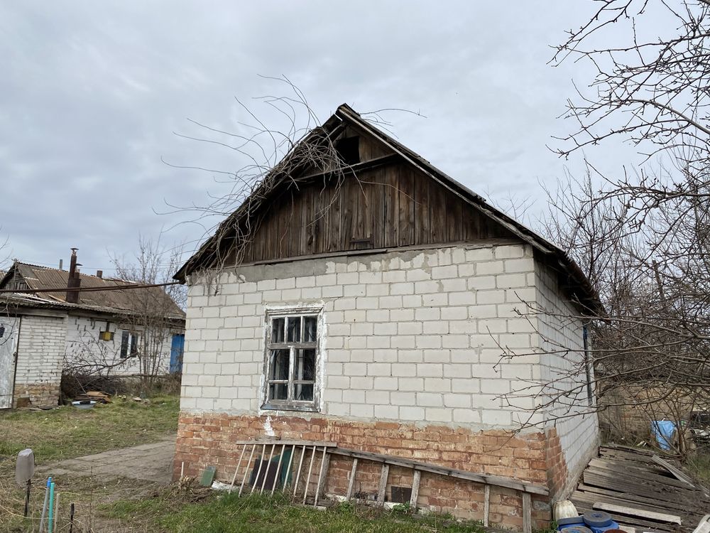 Будинок, земельна ділянка, капітальний гараж, дача. Дімітрова