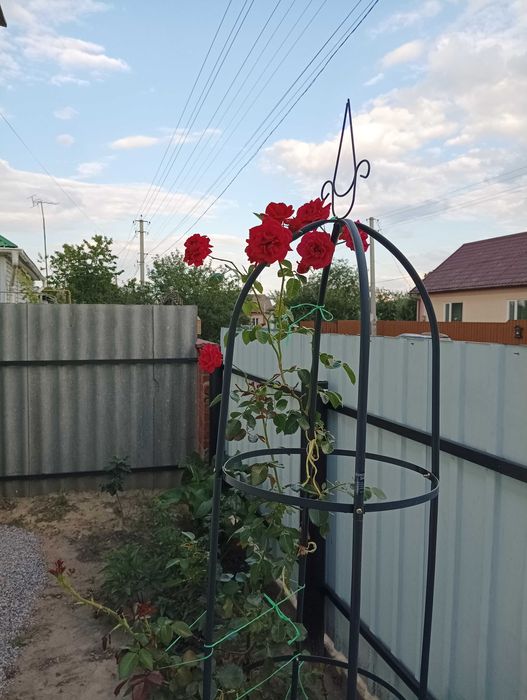 Продам будинок в центрі міста