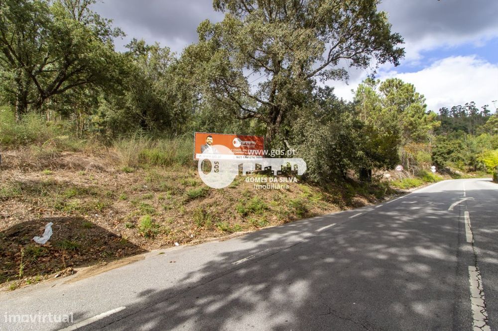 Lote de 7073m2 c/ viabilidade de construção na Morreira