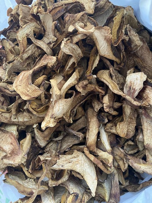 Сушені білий гриб та польський