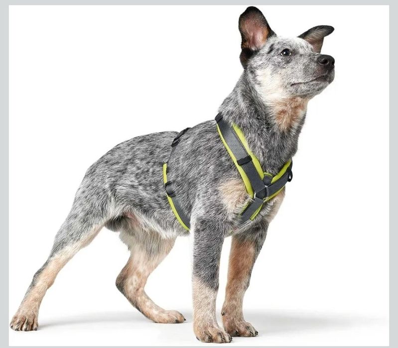 Шлейка анатомічна Hunter Maldon, Німеччина