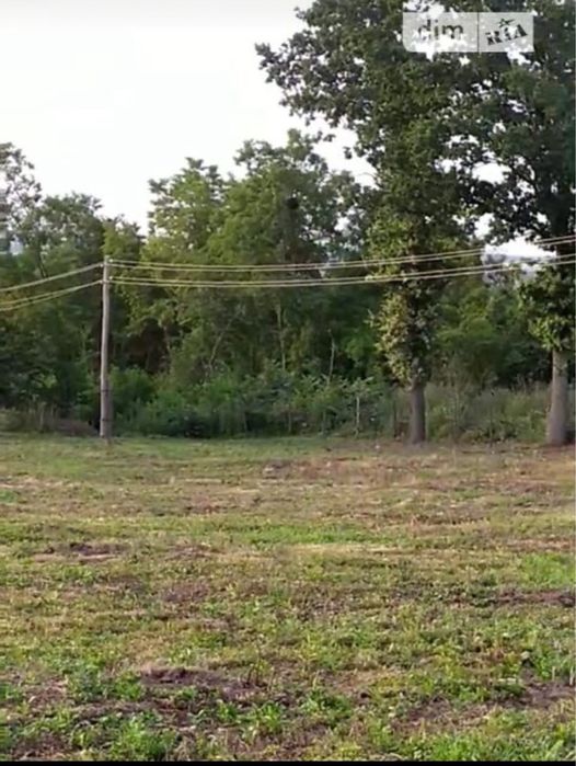 Земельна ділянка площею 1.7 га. Біля лісу!