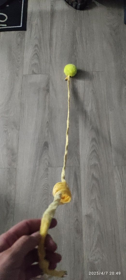 2 Zabawki dla kota jedna interaktywna druga wiszaca