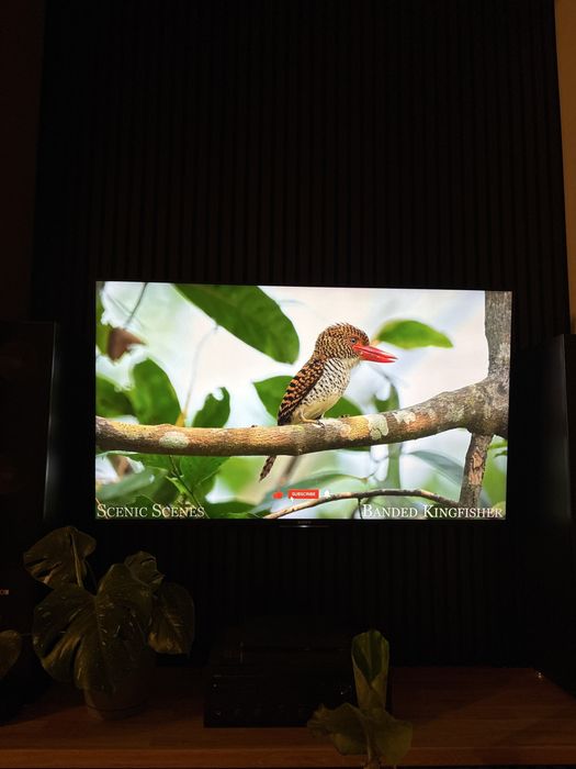 Telewizor Sony KDL-55W755C – 55”, Full HD, Smart TV