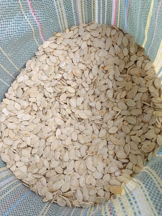Гарбузове насіння, семена тыквы
