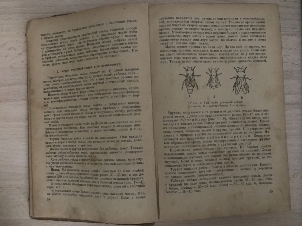 Книга «Пчеловодство» 1948г. Розов С.А., Губин А.Ф., Комаров П.М.