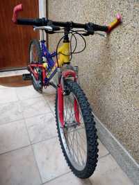 Bicicleta aro 24