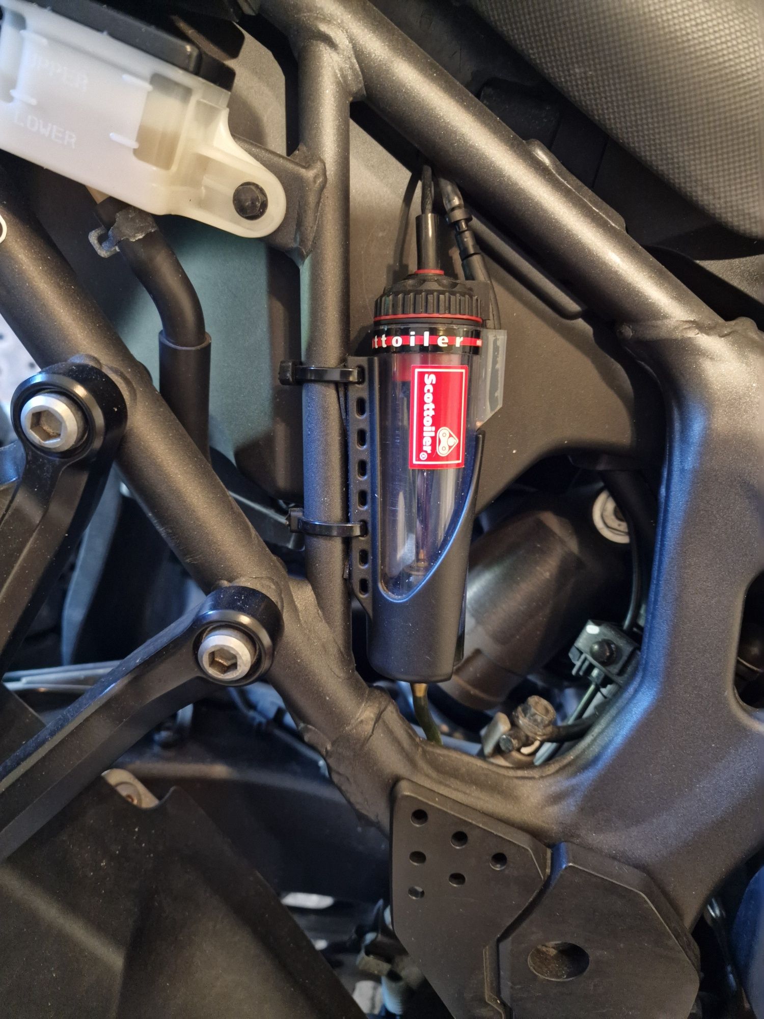Africa twin DCT 1000