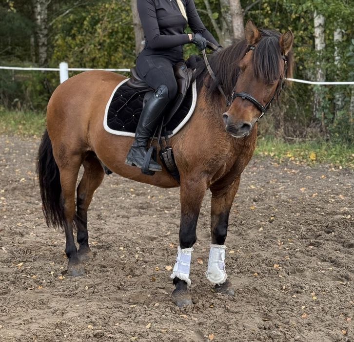 Cudowny walach dla kazdego