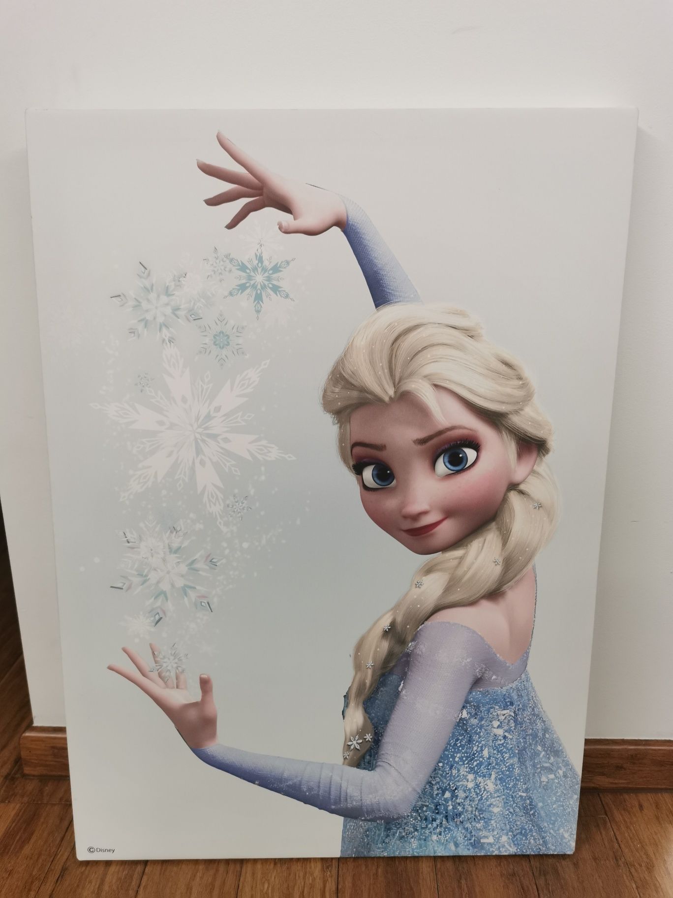 Obraz Elsa Frozen