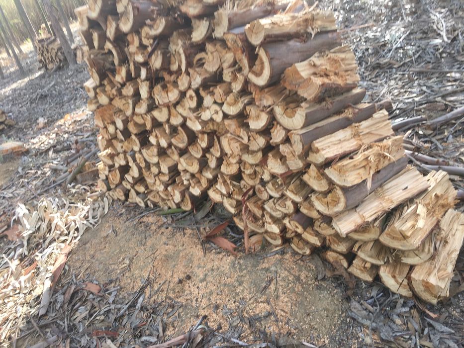 Lenha boa para aquecer sua casa,festas churrascádas !!