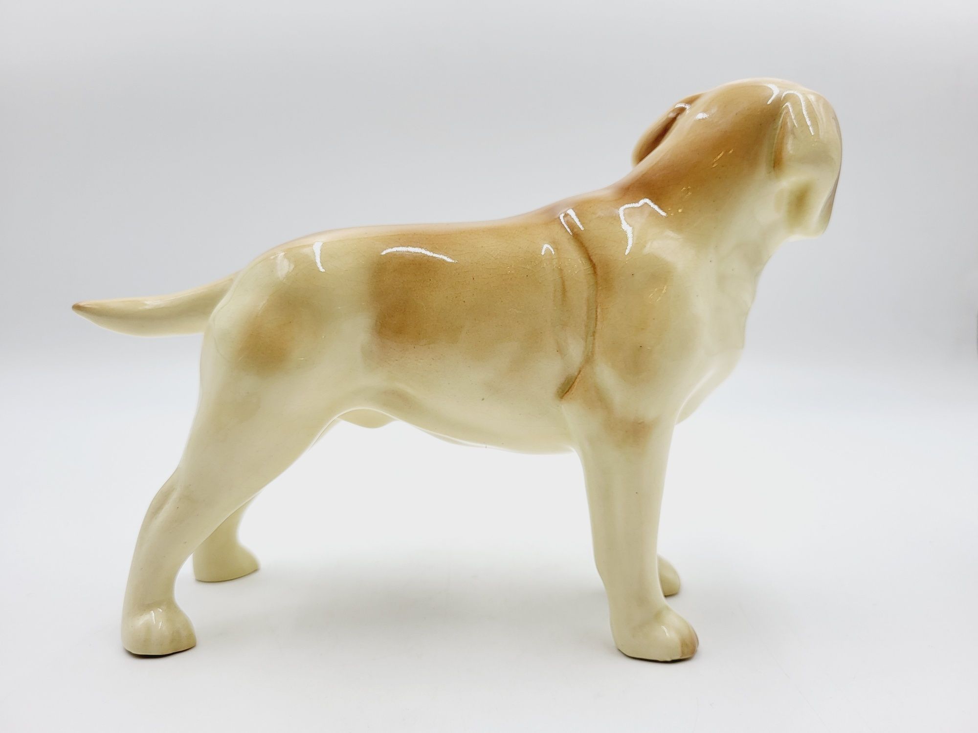 Prześliczna porcelanowa figurka pies labrador