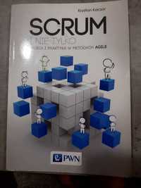 SCRUM i nie tylko. Teoria i praktyka w metodach Agile