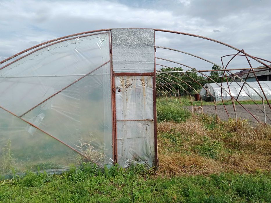 Sprzedam tunel foliowy