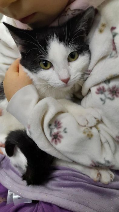 Merida szuka kochającego człowieka