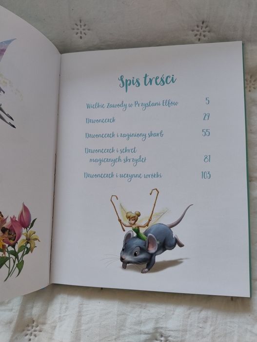 Magiczne chwile z wróżkami, Disney Wróżki