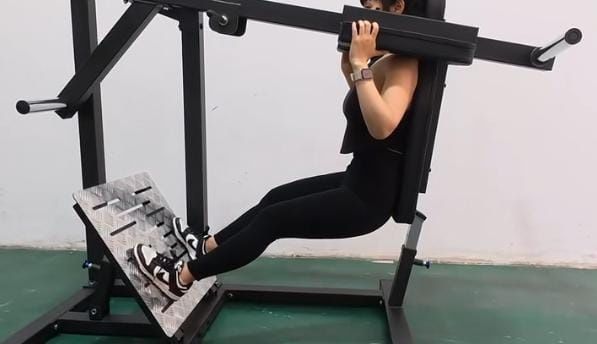 Pendulum squat a venda