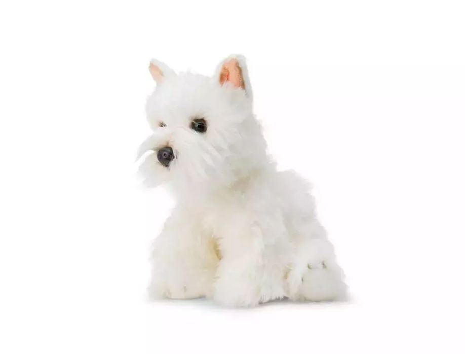 Pluszowy Westie. One for Fun