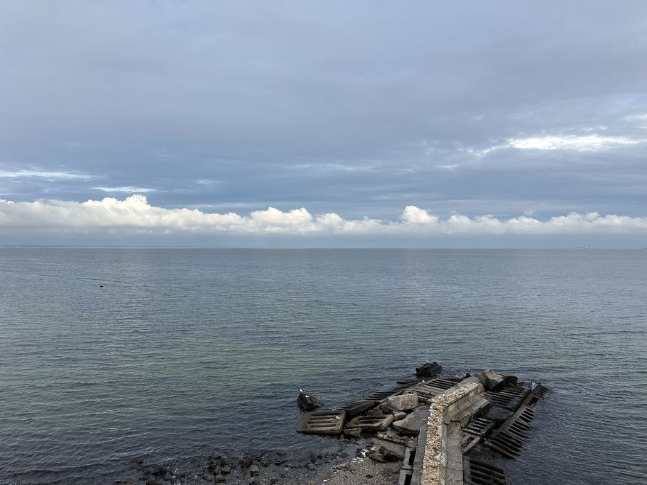 Востановлення суглобів