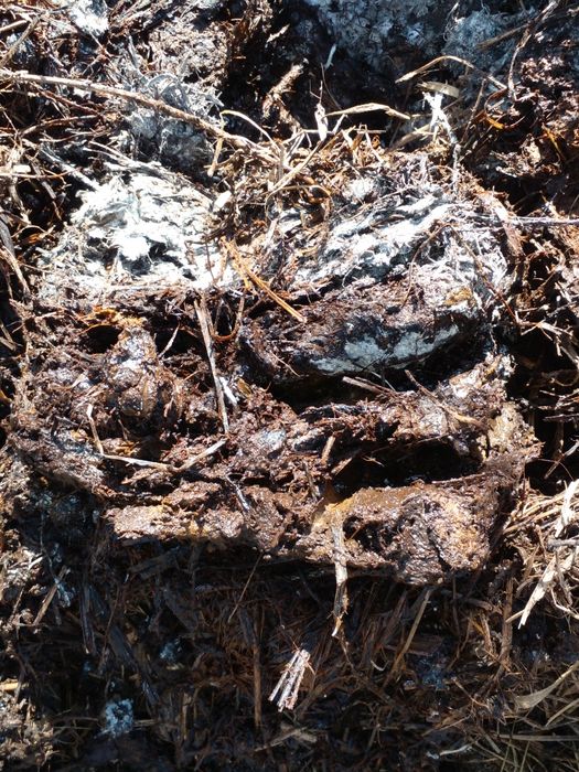 Перегній, Козиний навоз, удобрение,, Добриво, Перегной, мульча, биогу