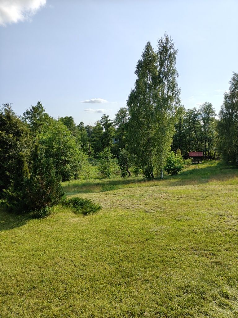 Domek letniskowy nad Brdą / Bory Tucholskie / kajaki / rowery/ grzyby