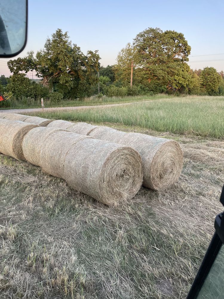 Sprzedrzam siano z sianych łąk tegoroczne