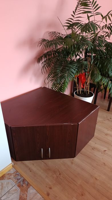 Szafa z wieszakiem i  szafką na buty do przedpokoju.