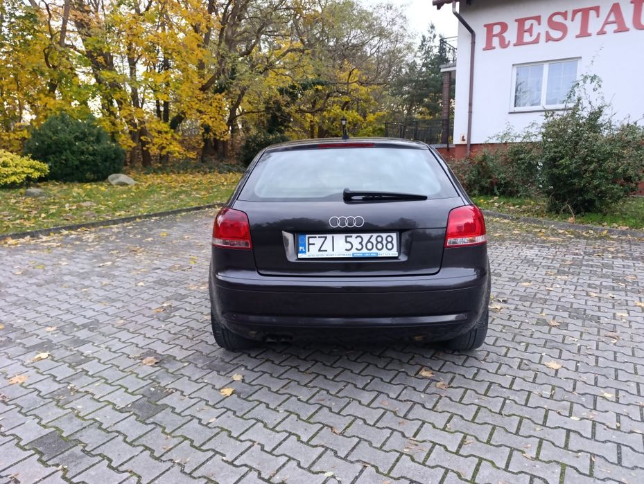 Audi A3 Lift 1.9 TDI BXE Klima Elektryka Jasne Wnętrze Alufelgi