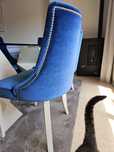 Vendo cadeiras 40€/cada