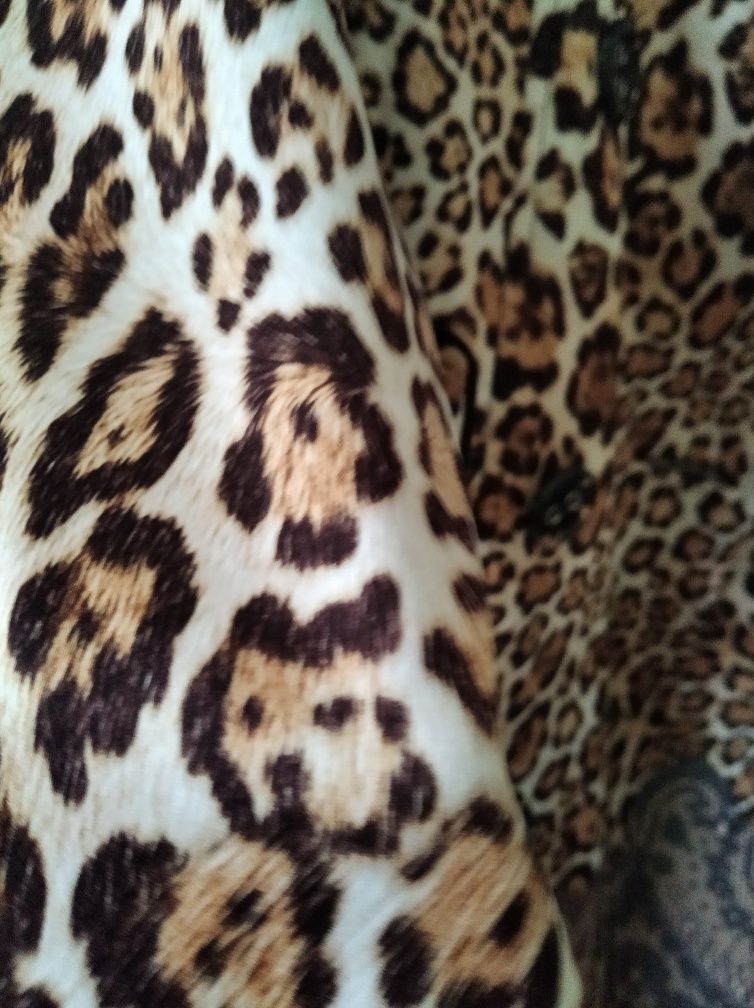 Стильний жіночий плащ леопардовий принт
