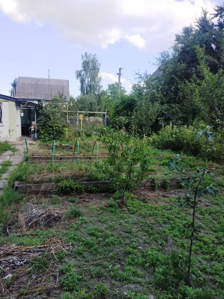 Продам  чудову  дачу в с.Селичівка в С/Т ІЛЬТА