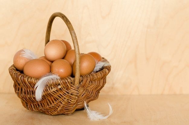 Świeże jajka od kurek.