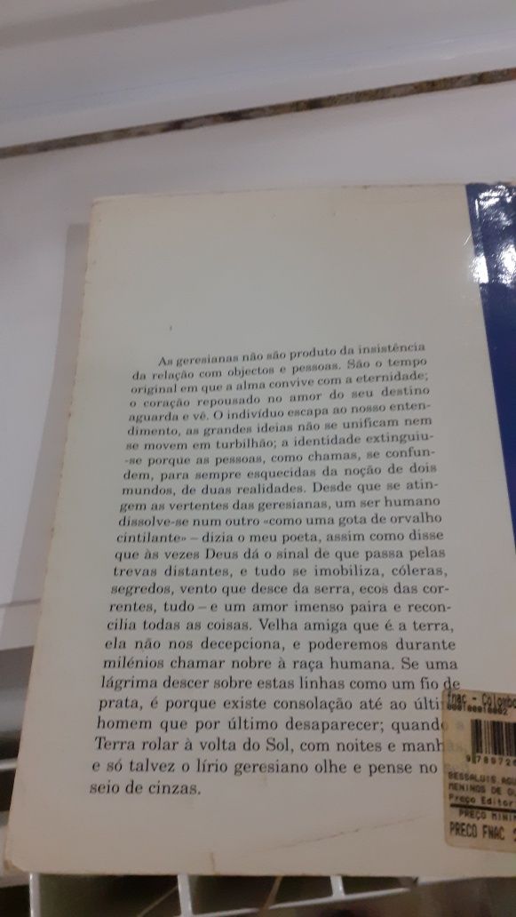 Os meninos de ouro Augustina bessa luis