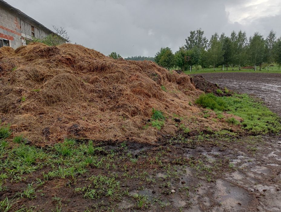 Sprzedam obornik koński