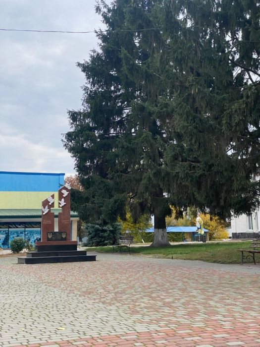 Продаж цегл будинку в СМТ Ружин в Житомирській обл