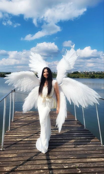 Крылья шестикрылого ангела