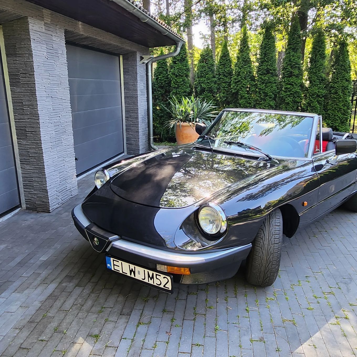 Alfa Romeo Spider Alfa Romeo Spider